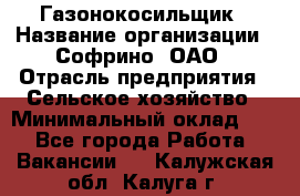 Газонокосильщик › Название организации ­ Софрино, ОАО › Отрасль предприятия ­ Сельское хозяйство › Минимальный оклад ­ 1 - Все города Работа » Вакансии   . Калужская обл.,Калуга г.